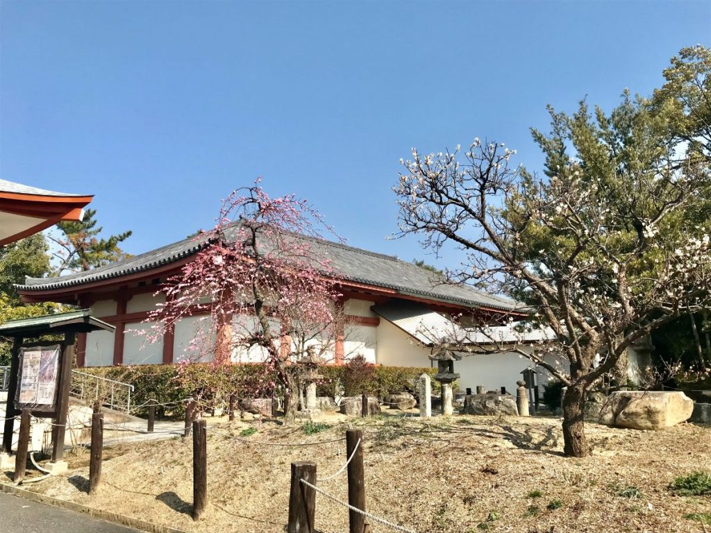 奈良県奈良市薬師寺4