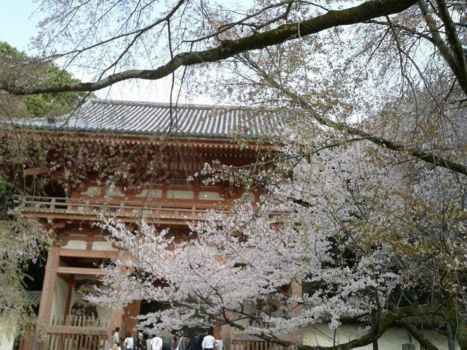 京都市 醍醐寺