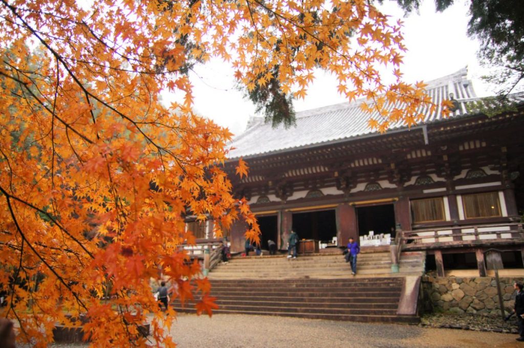 京都市 神護寺