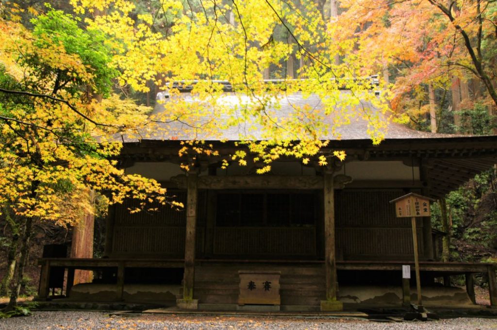 京都市 高山寺