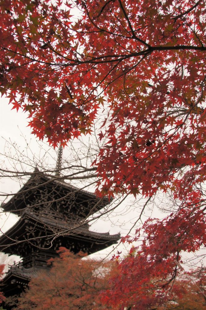 京都市 真正極楽寺