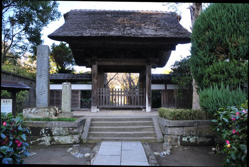 鎌倉市 極楽寺